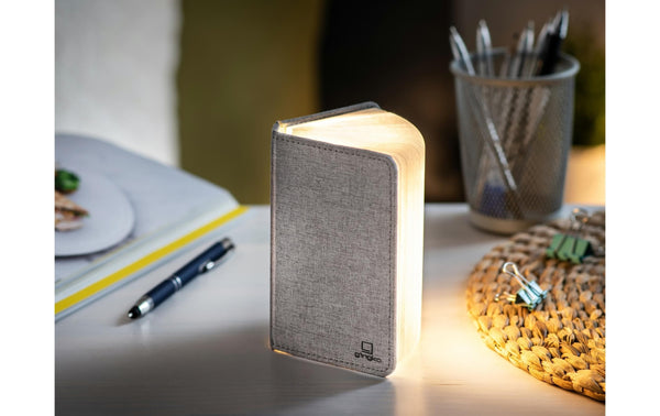 Gingko LED Stimmungslicht Mini Smart Book