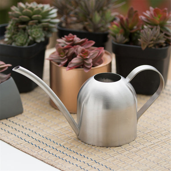 Stainless steel watering can with a long neck